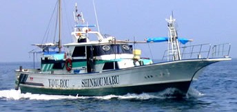 2009y05m28d_214657296.jpg