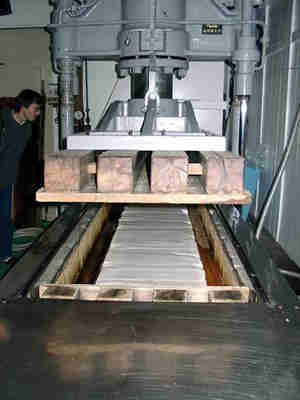 anfiruta-do-sakekasu.jpg